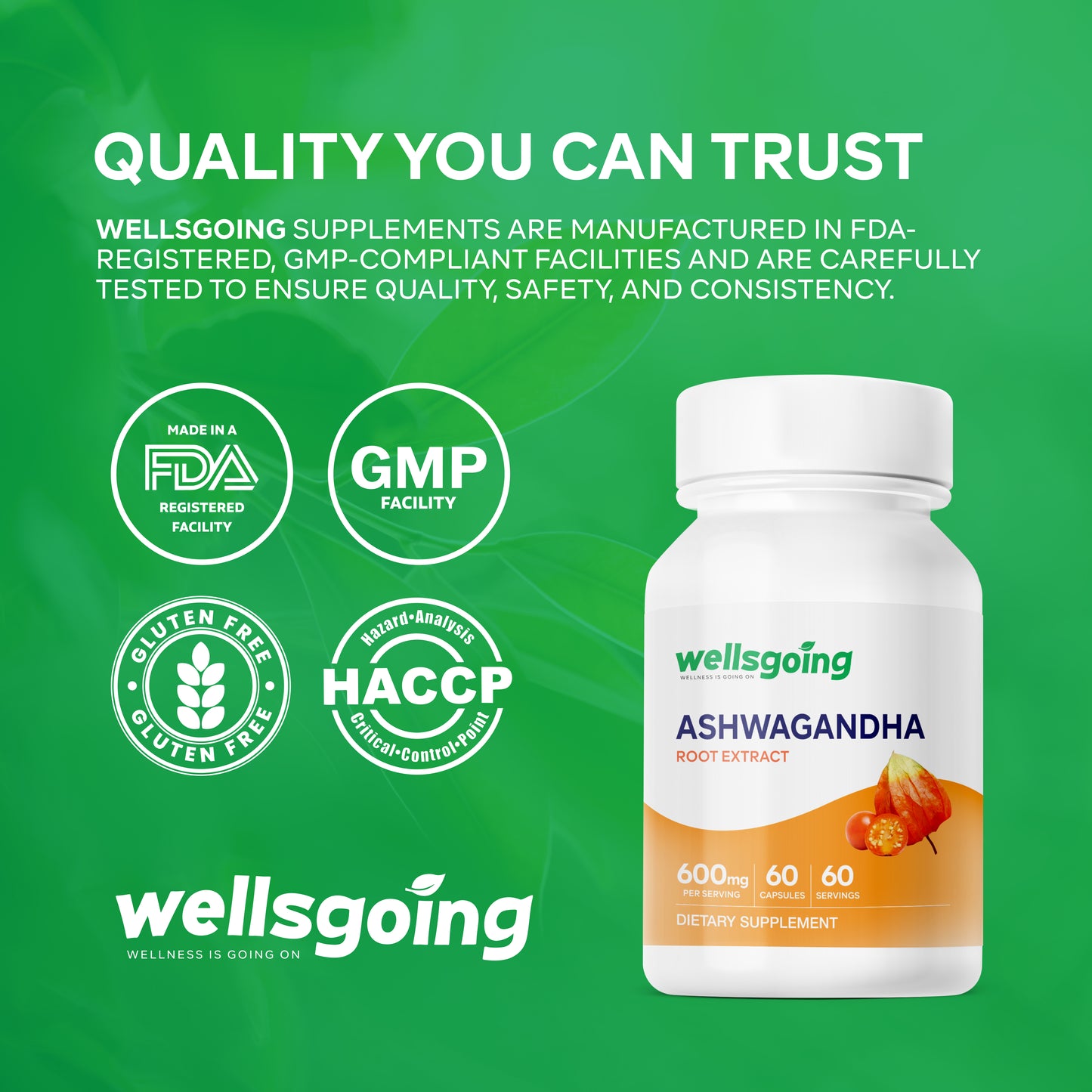 Wellsgoing Ashwagandha 600 mg – Stress & Wellness Support (60 Capsules)