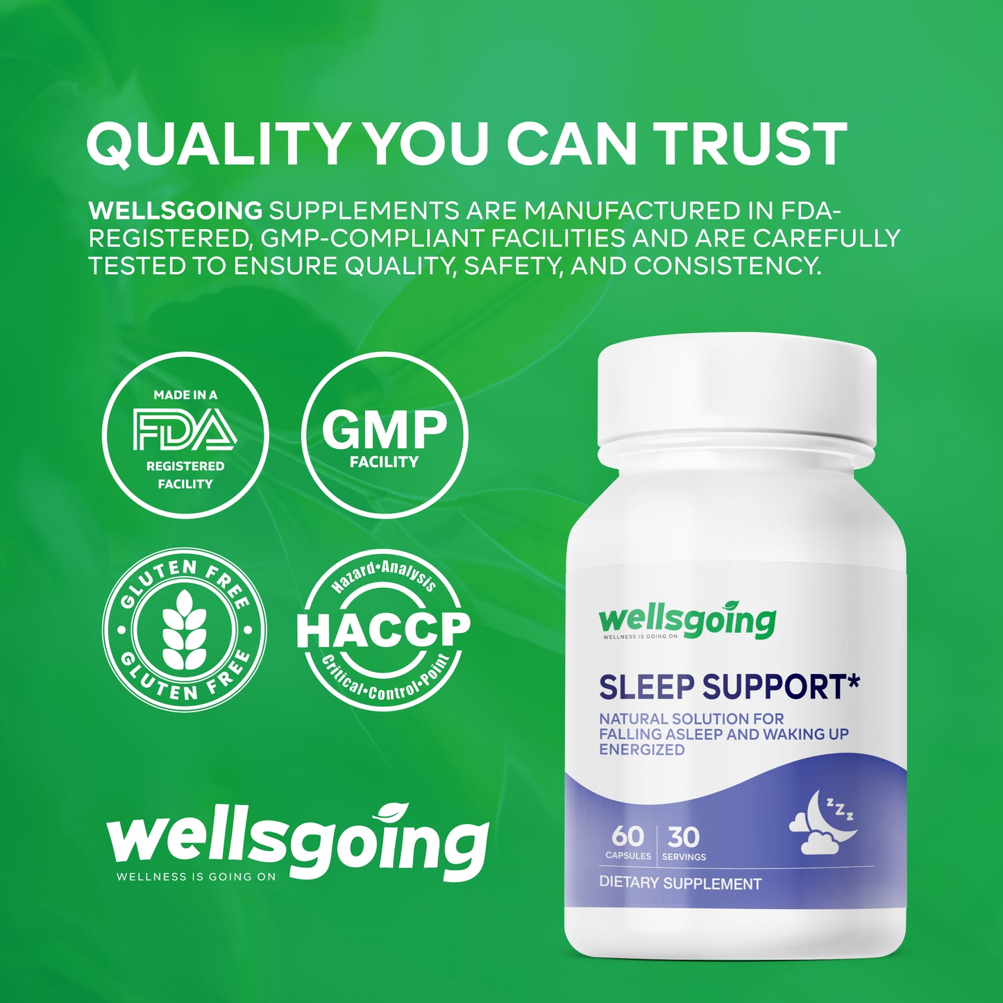 Wellsgoing Elderberry + Vitamin C & Zinc – Daily Supplement – 60 Capsules