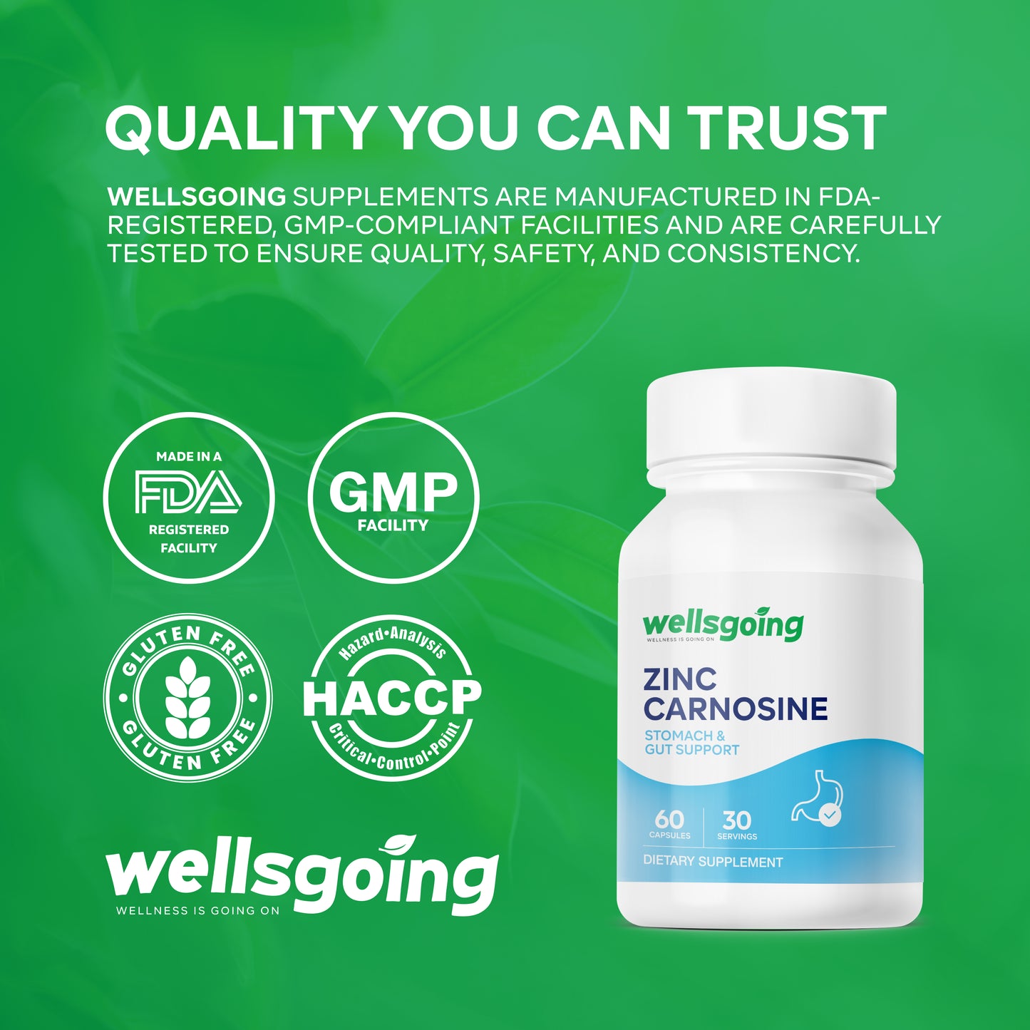 Wellsgoing Zinc Carnosine 75 mg – Daily Gut Wellness Formula – 60 Capsules
