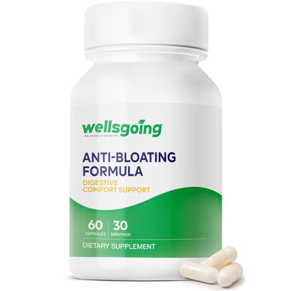Wellsgoing Digestive Relief Formula – Daily Gut Wellness – 60 Capsules