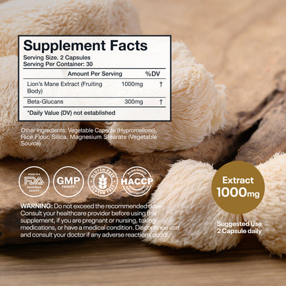 Wellsgoing Lion’s Mane Mushroom – Brain & Focus Support – 1000 mg, 60 Capsules