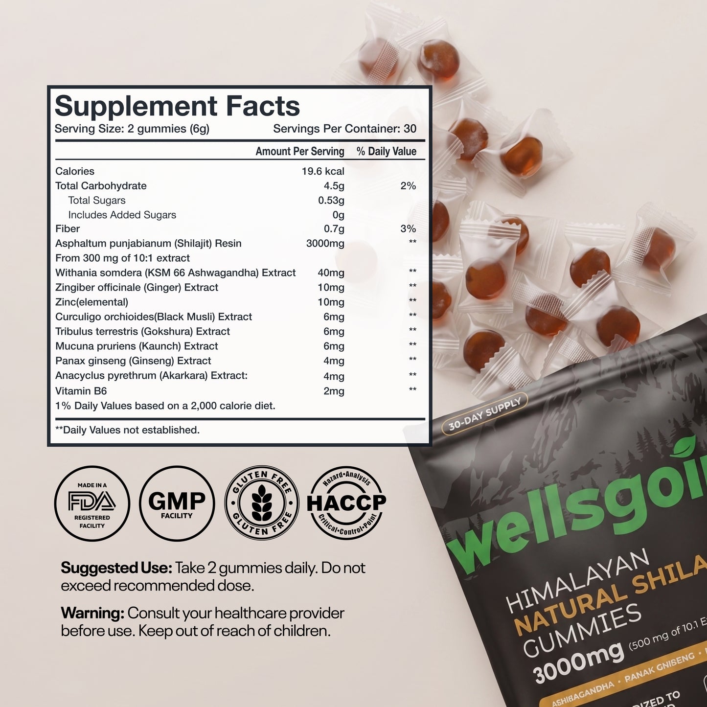 Wellsgoing Shilajit Gummies for Men – Energy & Vitality Support – 60 Gummies
