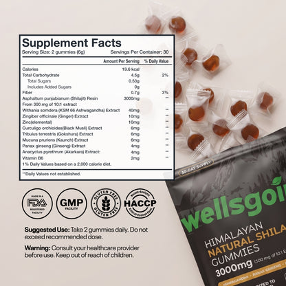 Wellsgoing Shilajit Gummies for Men – Energy & Vitality Support – 60 Gummies