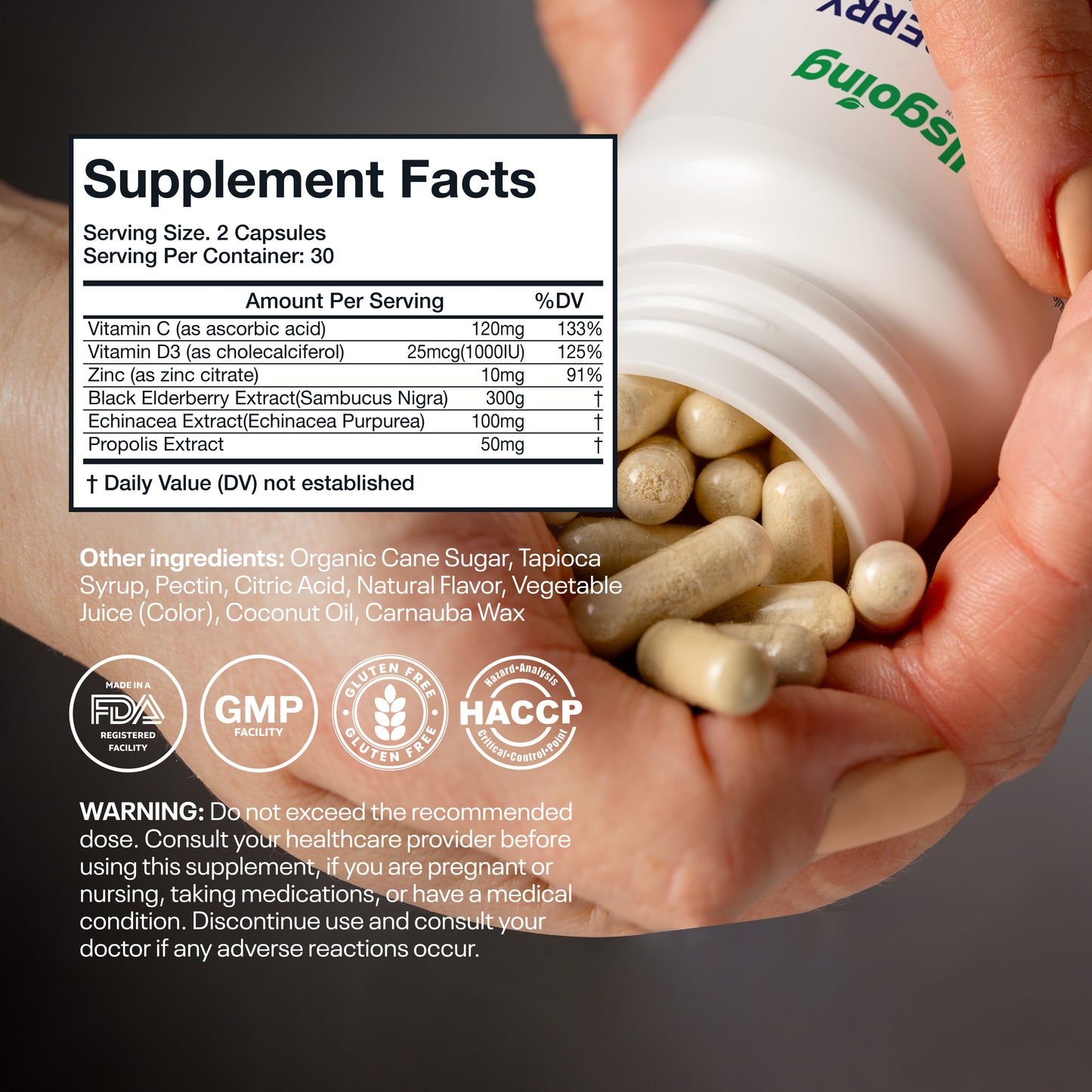 Wellsgoing Elderberry + Vitamin C & Zinc – Daily Supplement – 60 Capsules