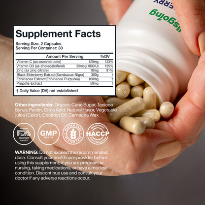 Wellsgoing Elderberry + Vitamin C & Zinc – Daily Supplement – 60 Capsules