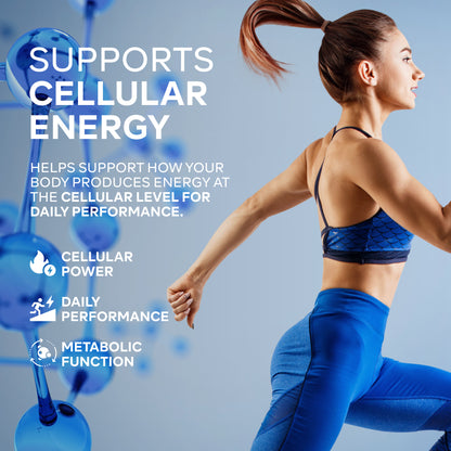 Wellsgoing NMN 500mg – Daily Vitality & Wellness Support(30 Capsules)