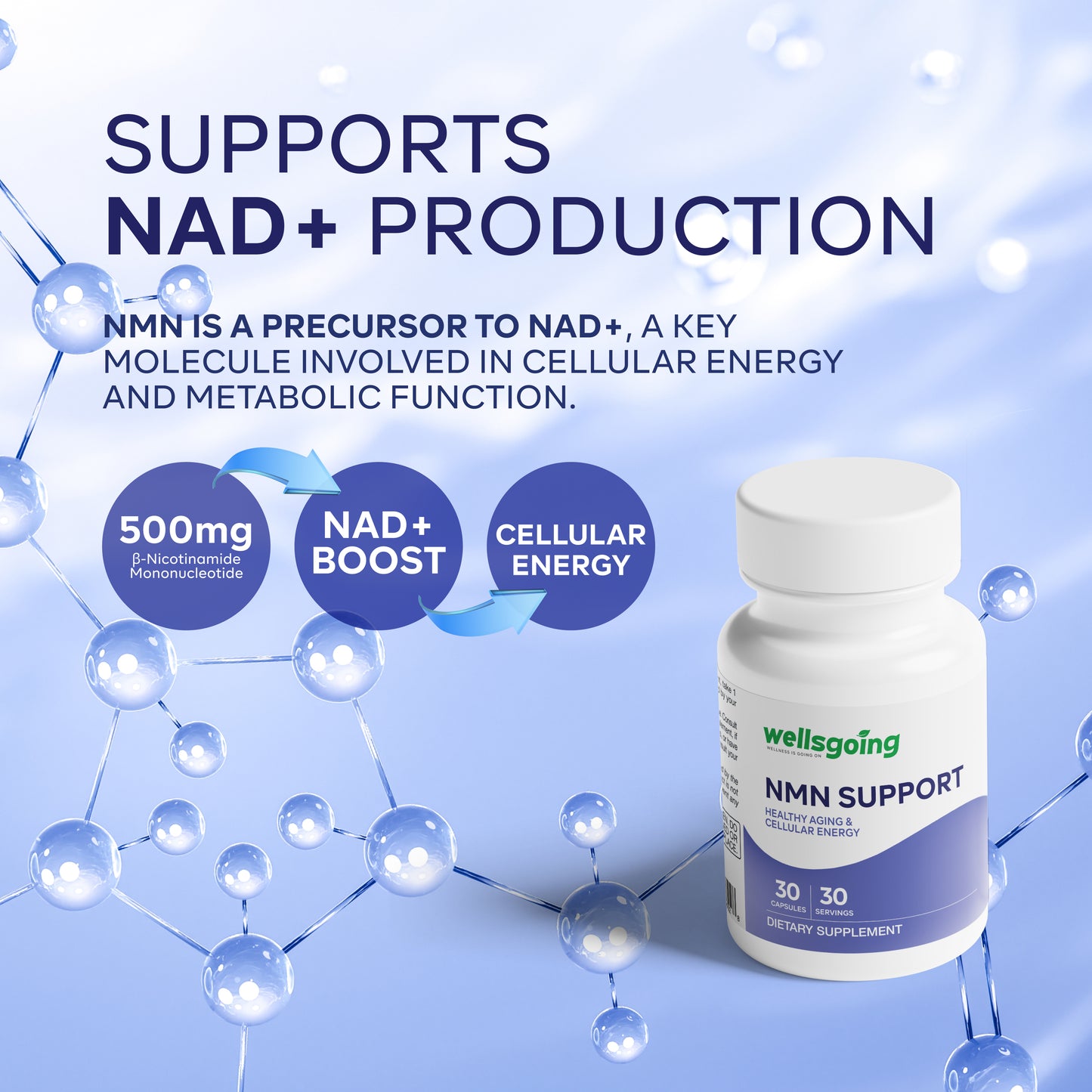 Wellsgoing NMN 500mg – Daily Vitality & Wellness Support(30 Capsules)
