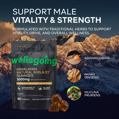 Wellsgoing Shilajit Gummies for Men – Energy & Vitality Support – 60 Gummies
