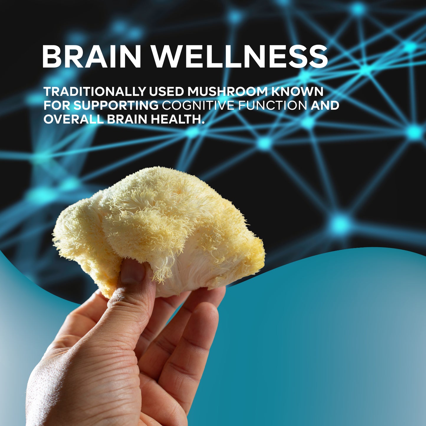 Wellsgoing Lion’s Mane Mushroom – Brain & Focus Support – 1000 mg, 60 Capsules