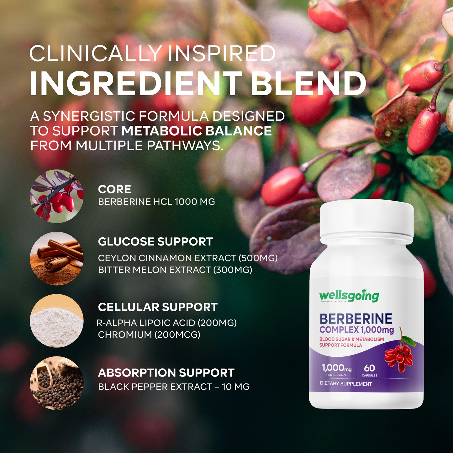 Berberine 1000mg Complex – Metabolism, Energy & Craving Support with Cinnamon & ALA – 60 Capsules