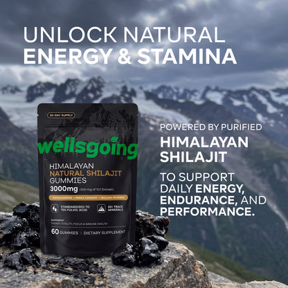 Wellsgoing Shilajit Gummies for Men – Energy & Vitality Support – 60 Gummies