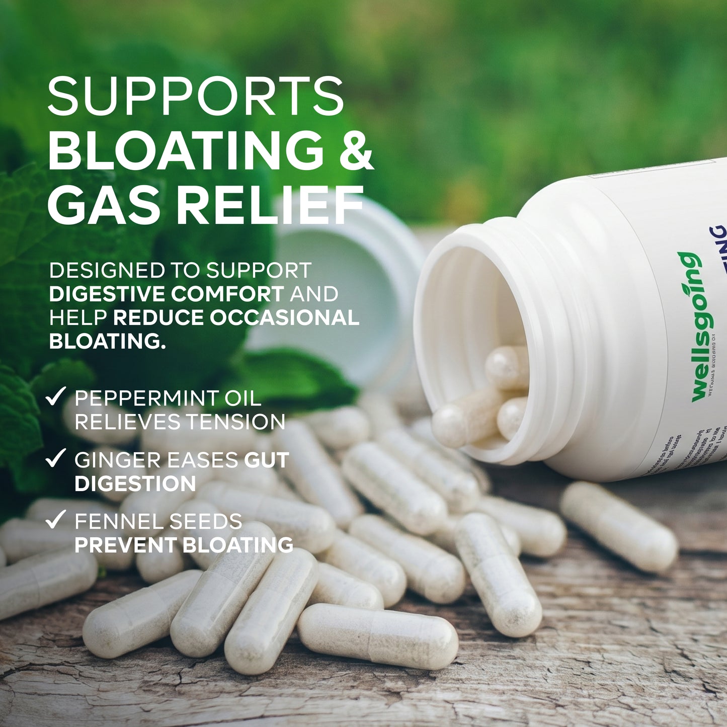 Wellsgoing Digestive Relief Formula – Daily Gut Wellness – 60 Capsules