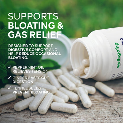 Wellsgoing Digestive Relief Formula – Daily Gut Wellness – 60 Capsules