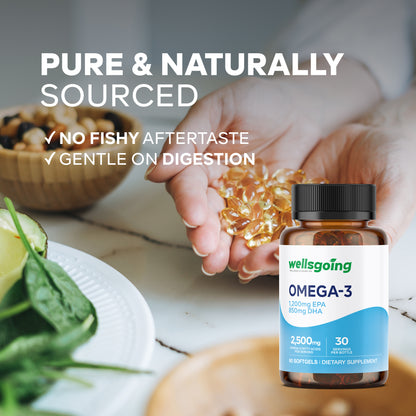 Wellsgoing Omega-3 Fish Oil 2500 mg – Heart & Brain Support (60 Softgels)