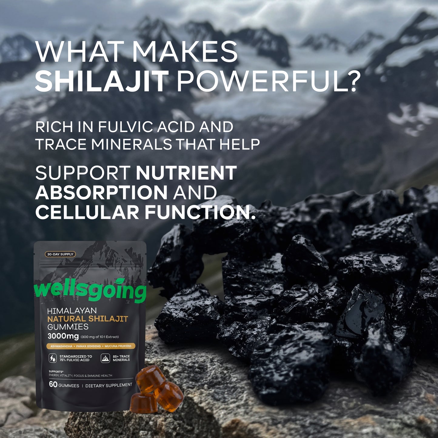 Wellsgoing Shilajit Gummies for Men – Energy & Vitality Support – 60 Gummies
