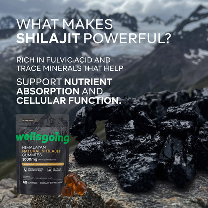 Wellsgoing Shilajit Gummies for Men – Energy & Vitality Support – 60 Gummies