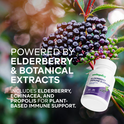 Wellsgoing Elderberry + Vitamin C & Zinc – Daily Supplement – 60 Capsules