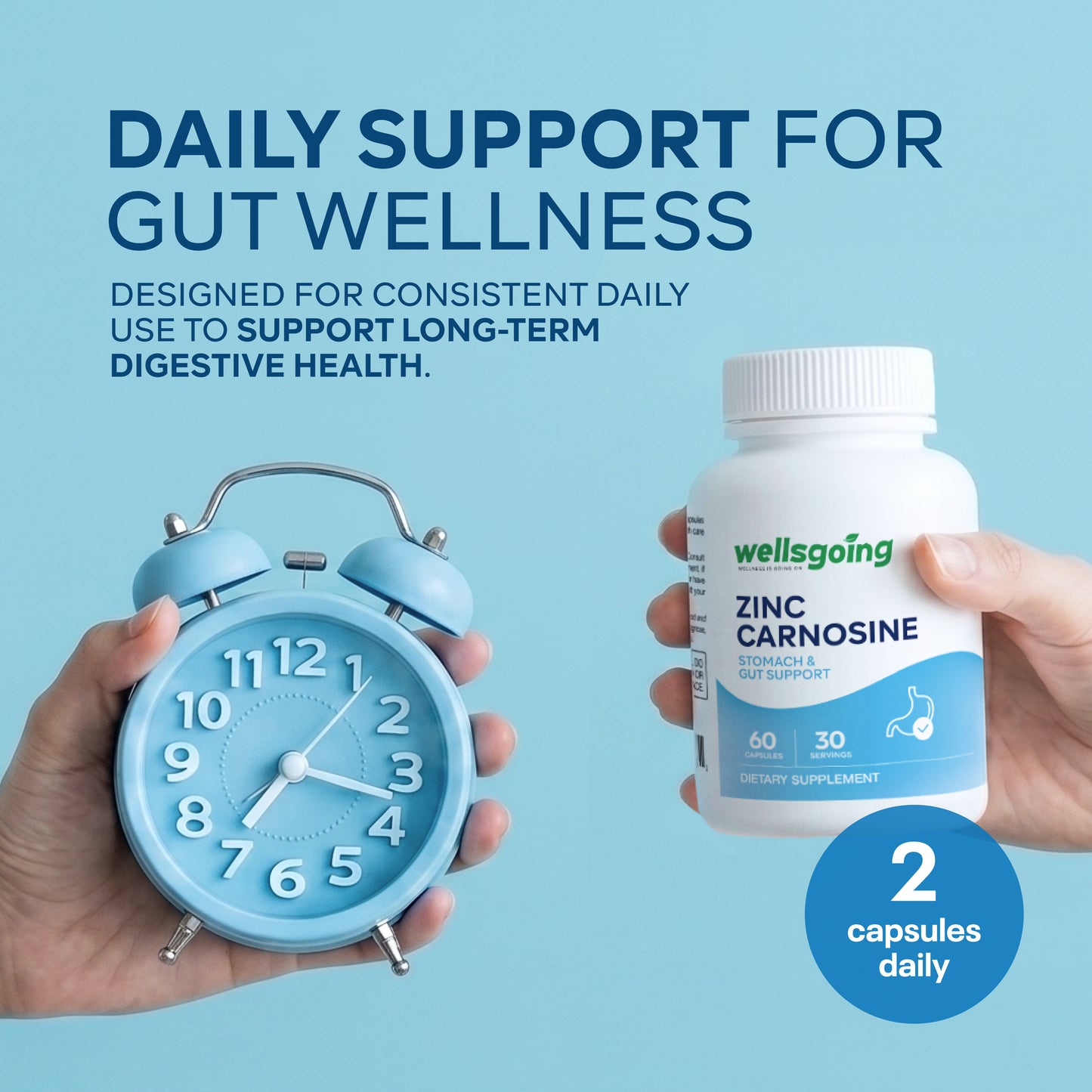 Wellsgoing Zinc Carnosine 75 mg – Daily Gut Wellness Formula – 60 Capsules