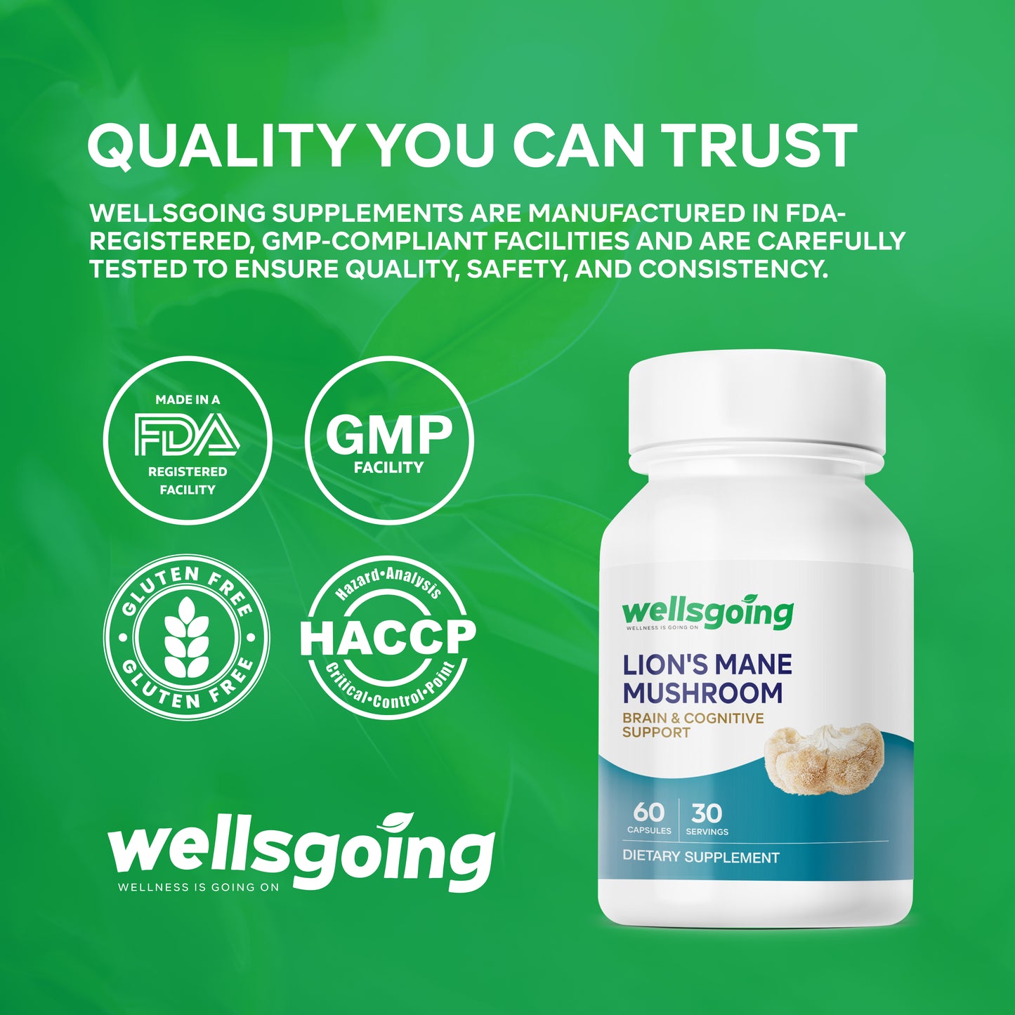 Wellsgoing Lion’s Mane Mushroom – Brain & Focus Support – 1000 mg, 60 Capsules