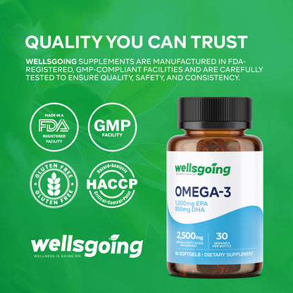 Wellsgoing Omega-3 Fish Oil 2500 mg – Heart & Brain Support (60 Softgels)