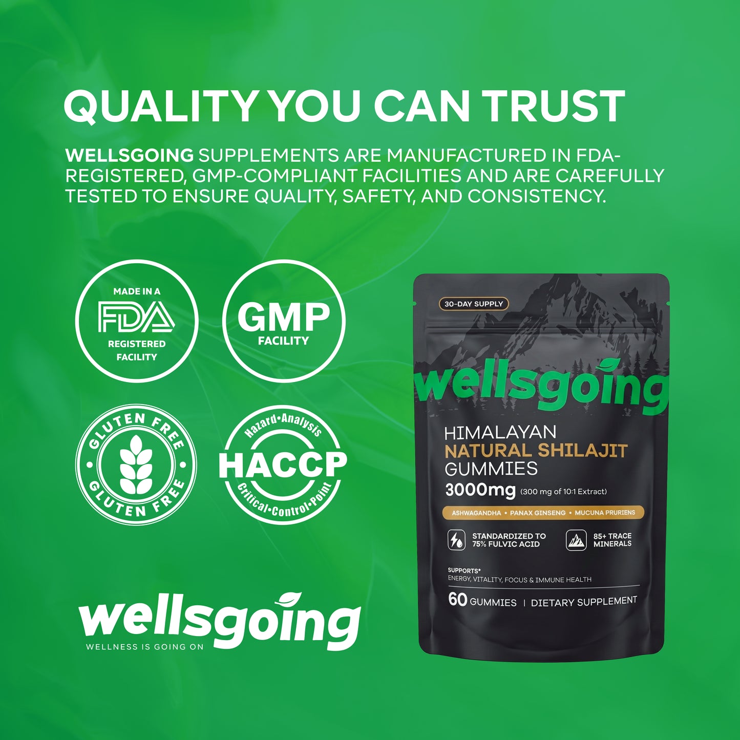 Wellsgoing Shilajit Gummies for Men – Energy & Vitality Support – 60 Gummies