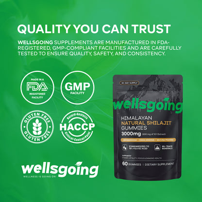 Wellsgoing Shilajit Gummies for Men – Energy & Vitality Support – 60 Gummies