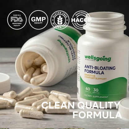 Wellsgoing Digestive Relief Formula – Daily Gut Wellness – 60 Capsules
