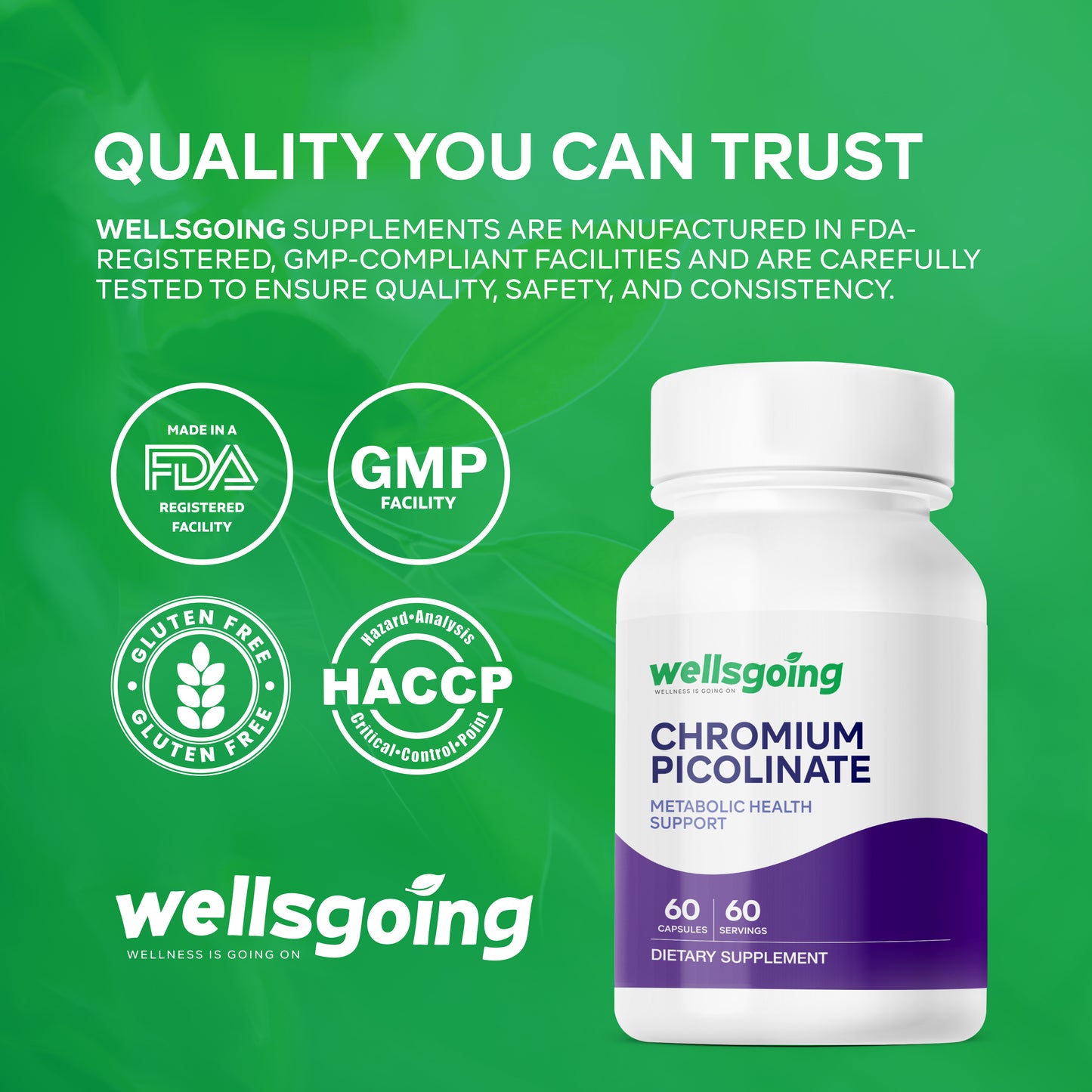 Wellsgoing Chromium Picolinate 200 mcg – Daily Metabolic Wellness Formula – 60 Capsules