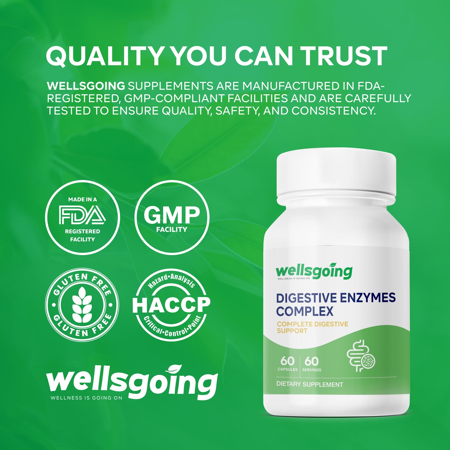 Wellsgoing Digestive Enzymes Complex – Digestive Support – 60 Capsules
