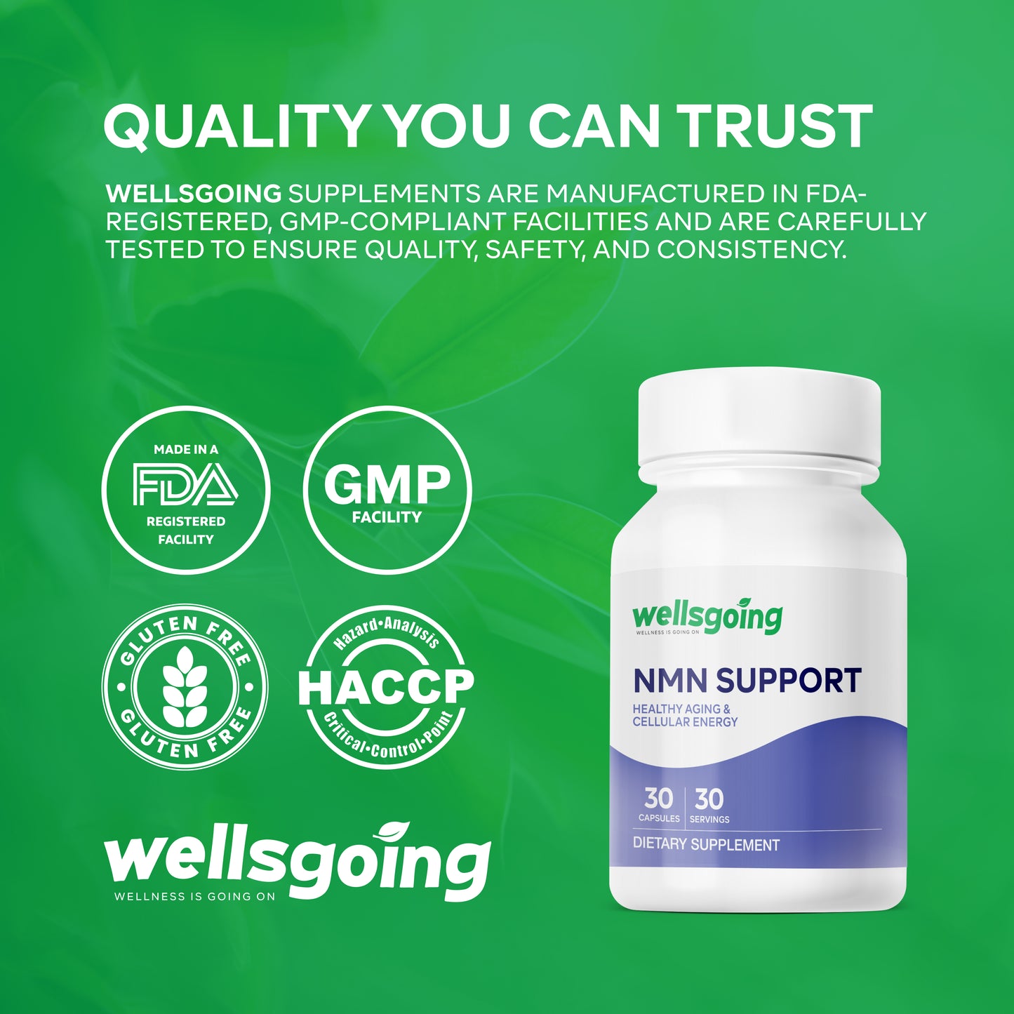 Wellsgoing NMN 500mg – Daily Vitality & Wellness Support(30 Capsules)