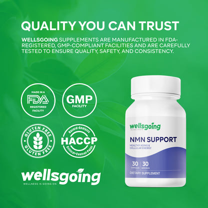 Wellsgoing NMN 500mg – Daily Vitality & Wellness Support(30 Capsules)