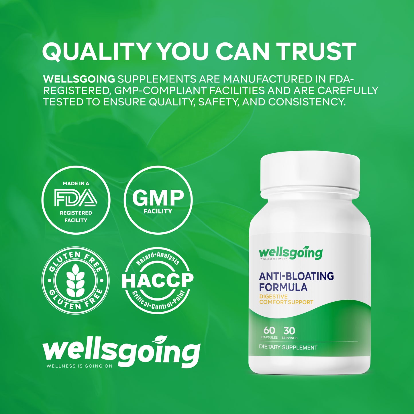 Wellsgoing Digestive Relief Formula – Daily Gut Wellness – 60 Capsules