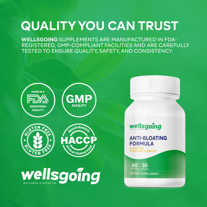Wellsgoing Digestive Relief Formula – Daily Gut Wellness – 60 Capsules