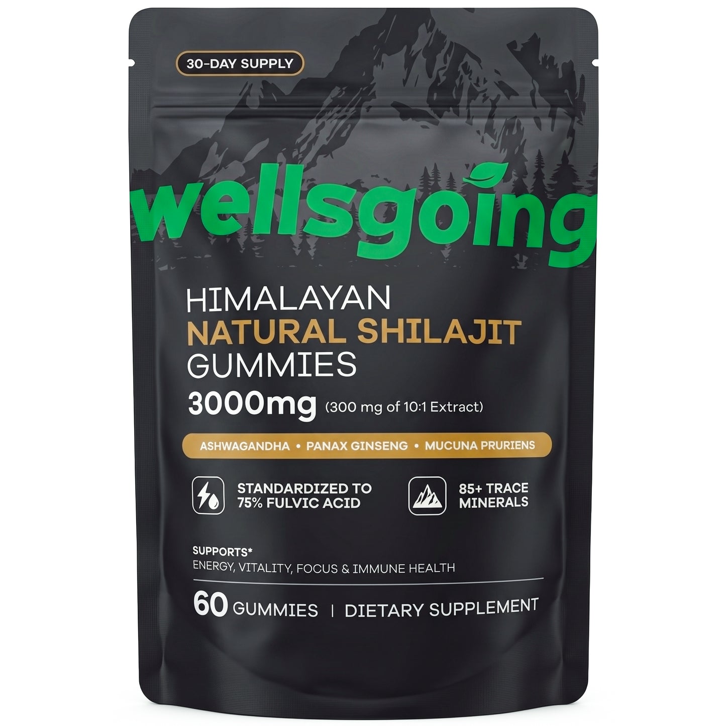 Wellsgoing Shilajit Gummies for Men – Energy & Vitality Support – 60 Gummies